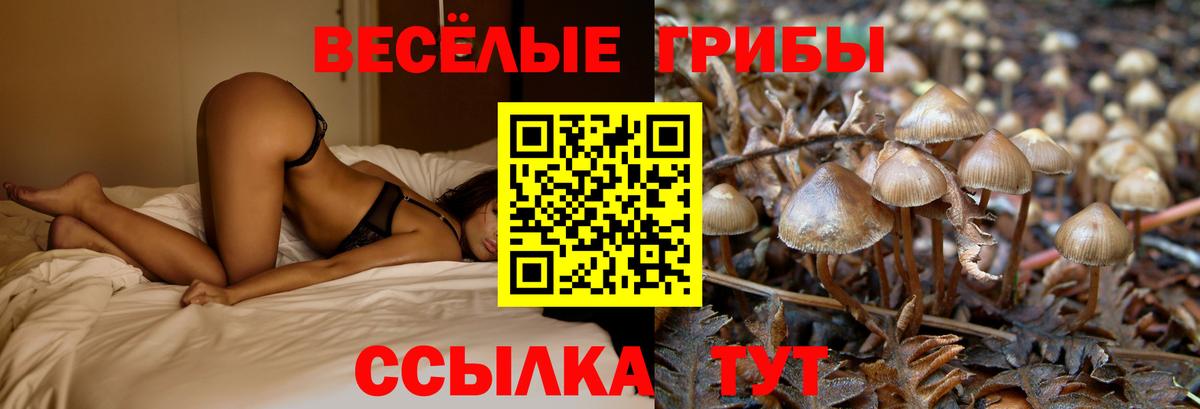  Кокаин Муром