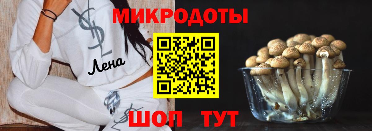 Муром  Псилоцибиновые грибы MAGIC MUSHROOMS  Вход с VPN 